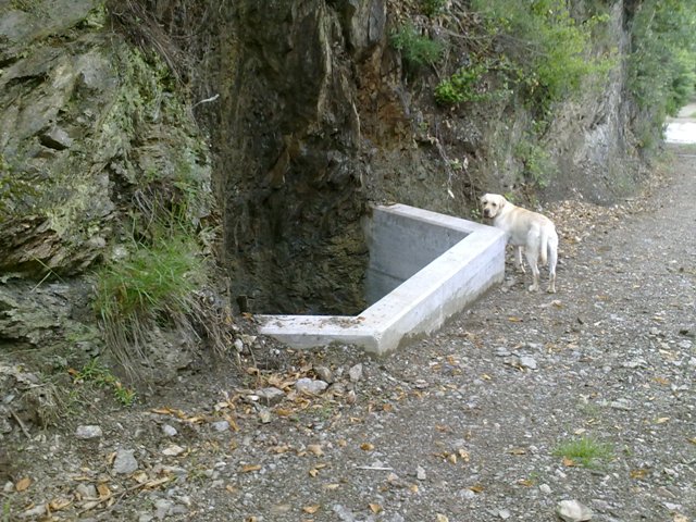 Trappole per anfibi